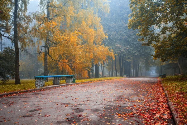 Kleiner Nebel Liegt Herbst Einem Zentralen Park — Stockfoto