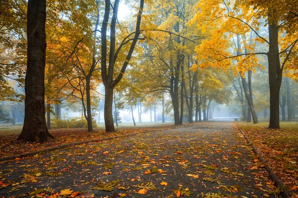 Pequeno Nevoeiro Está Outono Parque Central — Fotografia de Stock