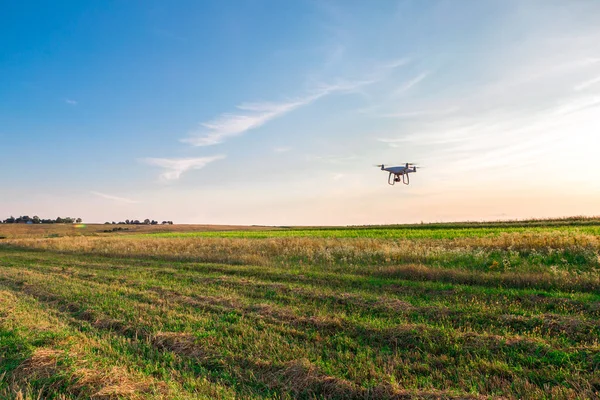 Drónkvad Helikopter Zöld Kukoricamezőn — Stock Fotó