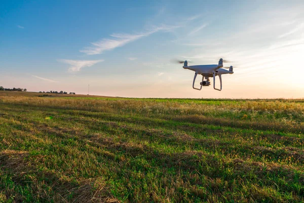 Drónkvad Helikopter Zöld Kukoricamezőn — Stock Fotó