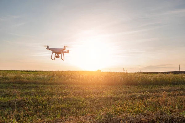 Drónkvad Helikopter Zöld Kukoricamezőn — Stock Fotó