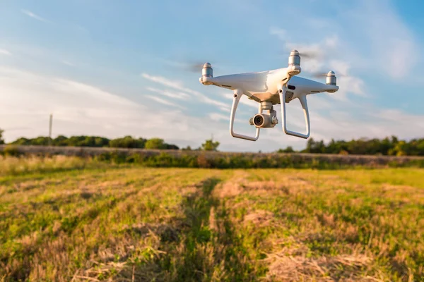 Copter Drone Quad Sur Champ Maïs Vert — Photo