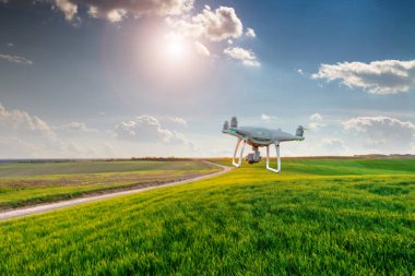 Dron kuad helikopteri yeşil mısır tarlasında