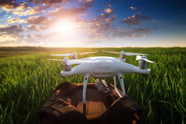 Dron kuad helikopteri yeşil mısır tarlasında