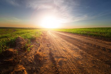 Sarı alan, mavi gökyüzü ve güneş.