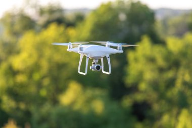 Dron kuad helikopteri yeşil mısır tarlasında