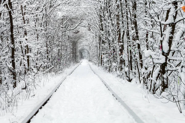 Järnväg Vinterskogstunneln Kärlek — Stockfoto