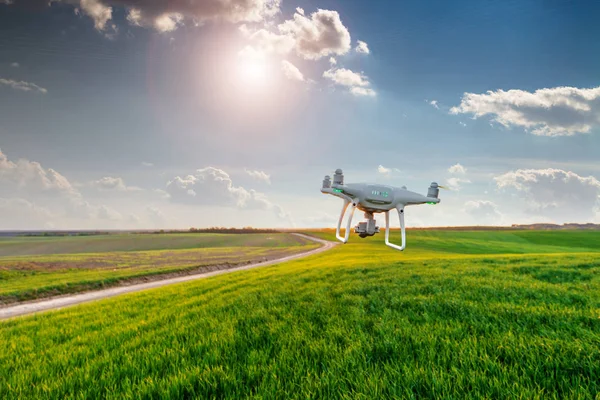 Dron kuad helikopteri yeşil mısır tarlasında