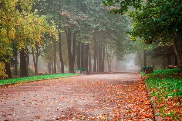 Kleiner Nebel Liegt Herbst Einem Zentralen Park — Stockfoto