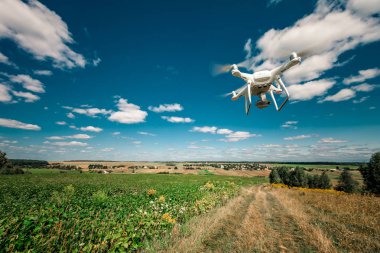 Dron kuad helikopteri yeşil mısır tarlasında