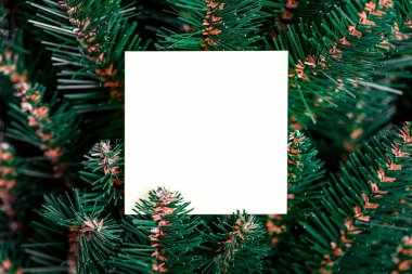 Kağıt notlu Noel ağacı dalları. Düz yatıyordu.