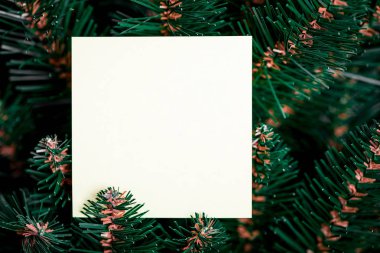 Kağıt notlu Noel ağacı dalları. Düz yatıyordu.