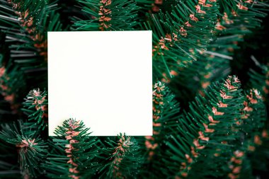 Kağıt notlu Noel ağacı dalları. Düz yatıyordu.