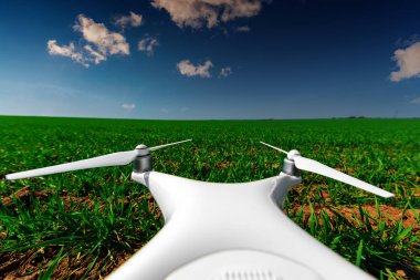 Dron kuad helikopteri yeşil mısır tarlasında