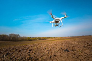 Dron kuad helikopteri yeşil mısır tarlasında