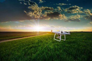 Dron kuad helikopteri yeşil mısır tarlasında