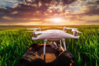 Dron kuad helikopteri yeşil mısır tarlasında