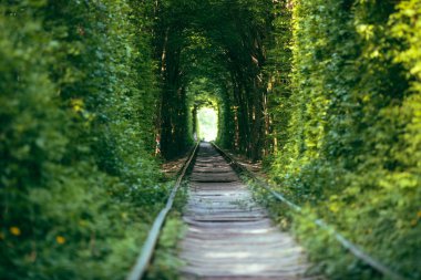 Bahar ormanı aşk tünelinde bir demiryolu.