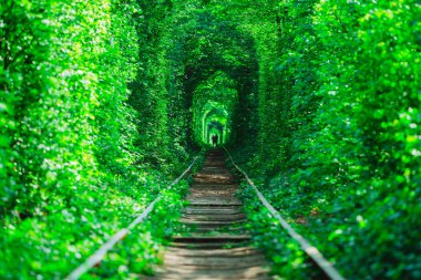 Bahar ormanı aşk tünelinde bir demiryolu.