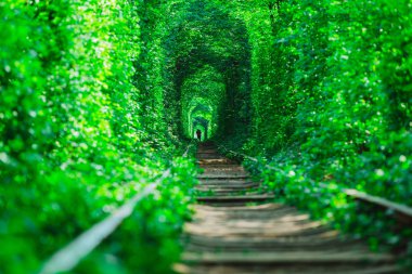 Bahar ormanı aşk tünelinde bir demiryolu.