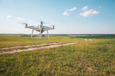 Dron kuad helikopteri yeşil mısır tarlasında