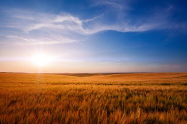 Sarı Alan ve Güzel Gün Batımı