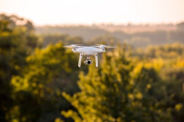 Dron kuad helikopteri yeşil mısır tarlasında