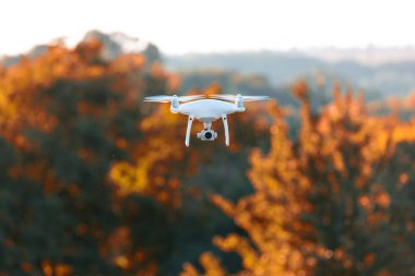 Dron kuad helikopteri yeşil mısır tarlasında
