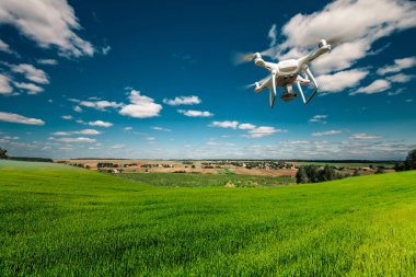 Dron kuad helikopteri yeşil mısır tarlasında