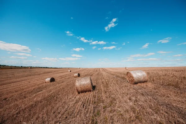 Weizenfeld Nach Der Ernte Mit Strohballen Bei Sonnenuntergang — Stockfoto