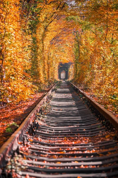 Túnel Amor Outono — Fotografia de Stock