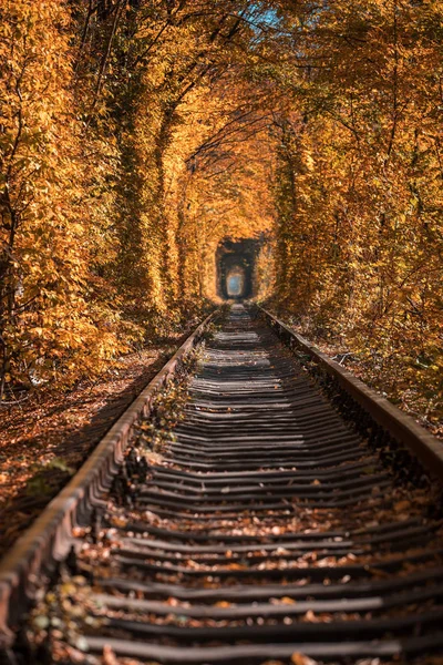 Tunnel Dell Amore Autunno — Foto Stock