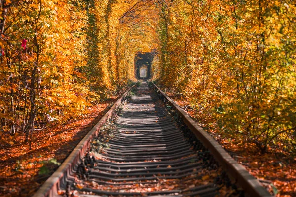 Túnel Amor Outono — Fotografia de Stock