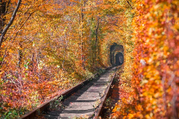 Túnel Amor Outono — Fotografia de Stock
