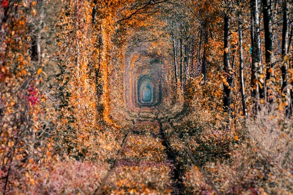 Любовь Туннель Осенью — стоковое фото