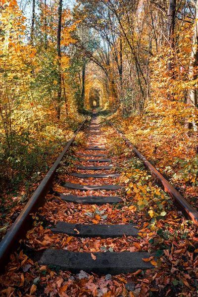 Túnel Amor Otoño —  Fotos de Stock