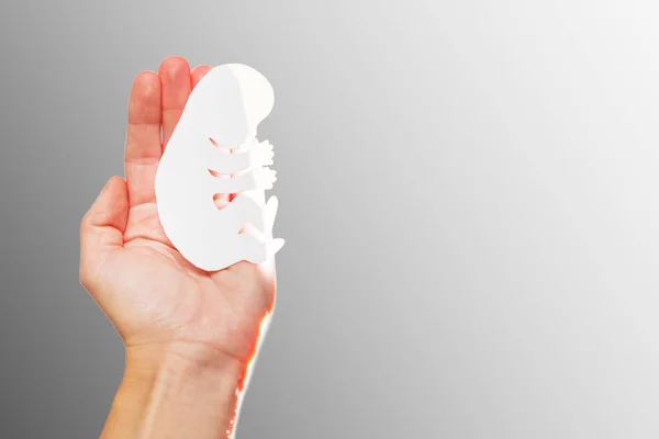 Silhueta Embrionária Mão Mulher — Fotografia de Stock
