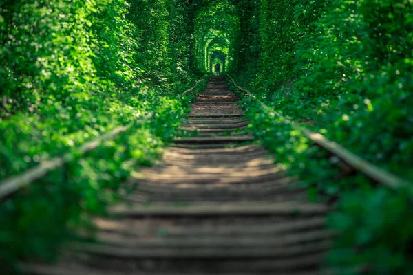 Chemin Fer Dans Tunnel Amour Forêt Printanière — Photo