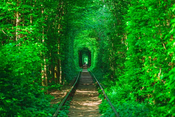 Uma Ferrovia Túnel Amor Floresta Primavera — Fotografia de Stock