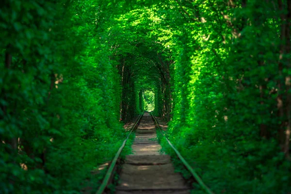 Železnice Jarním Lesním Tunelu Lásky — Stock fotografie