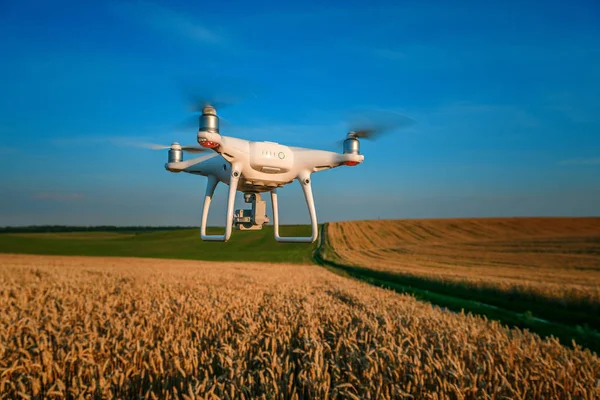 sarı Mısır sahada dron dört helikopter