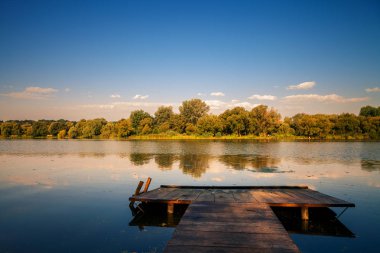 Resimli orman ve nehir.