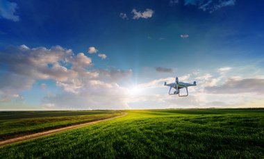 drone quad copter on green corn field clipart