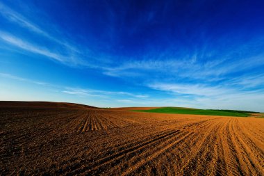 Sarı Alan ve Güzel Gün Batımı