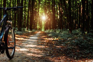 Bisikletle tepeden aşağıya doğru hızla inen dağ bisikleti. Motorcuların gözlerinden bak. 