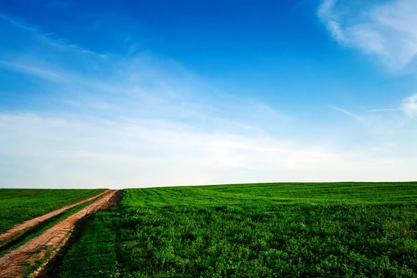 Grüne Wiese Blauer Himmel Und Sonne — Stockfoto