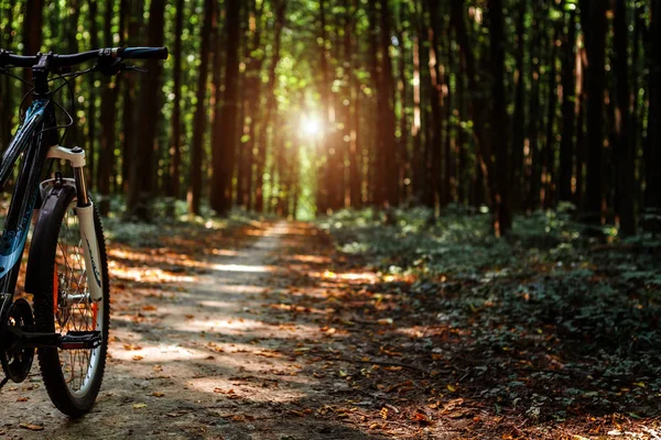 Bisikletle tepeden aşağıya doğru hızla inen dağ bisikleti. Motorcuların gözlerinden bak. 
