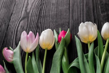 Siyah ahşap arka plan bahar laleler