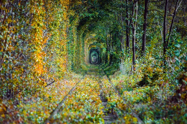 Bahar Ormanı Aşk Tünelinde Bir Demiryolu — Stok fotoğraf