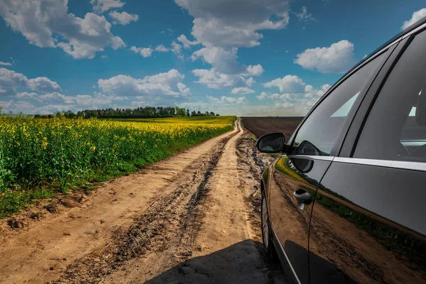 Car Dirt Road Field Sunflowers Wheat Sunlight — Stock Photo, Image